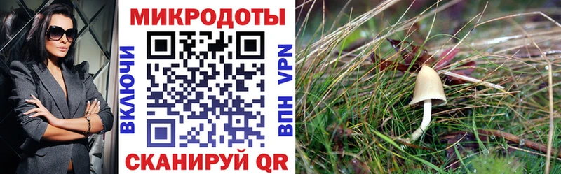 Галлюциногенные грибы мицелий  продажа наркотиков  Пересвет 